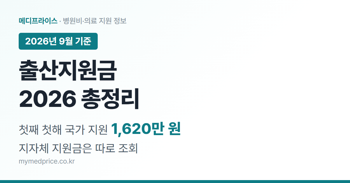 출산지원금 2026 총정리 대표 이미지: 첫째 아이 첫해 국가 지원 1620만원, 지자체 지원금 조회법
