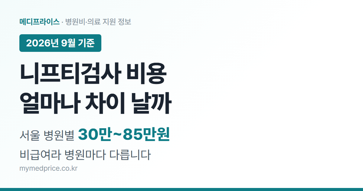 니프티검사 비용 2026 대표 이미지: 서울 병원별 30만~85만원, 비급여라 병원마다 다름