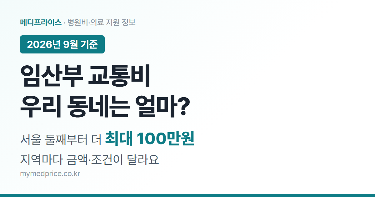 임산부 교통비 지원 2026 대표 이미지: 서울 둘째부터 더 지원, 최대 100만원, 지역마다 다름