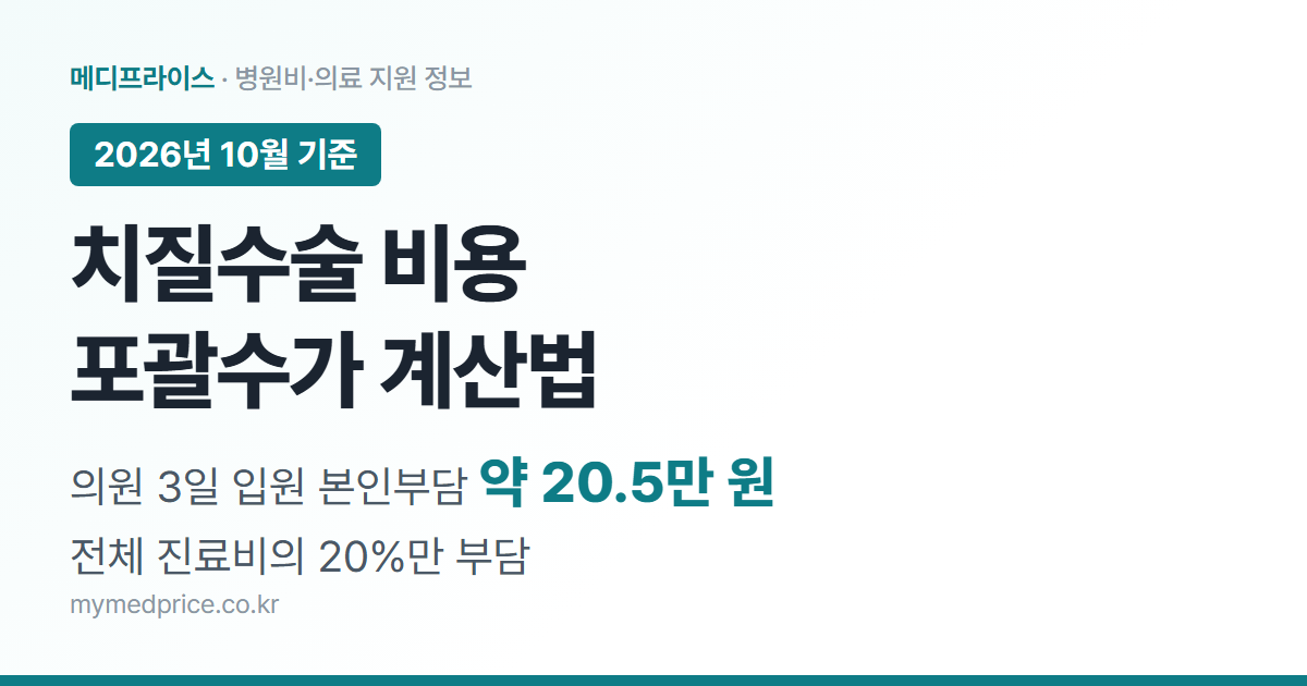 치질수술 비용 2026 대표 이미지: 포괄수가 적용으로 의원 3일 입원 본인부담 약 20만 5천 원, 전체 진료비의 20% 부담